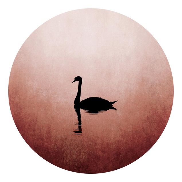 Tapeter modernt Swan In Sunset