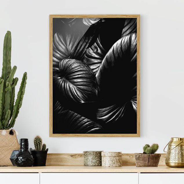 Kök dekoration Black And White Botany Hosta