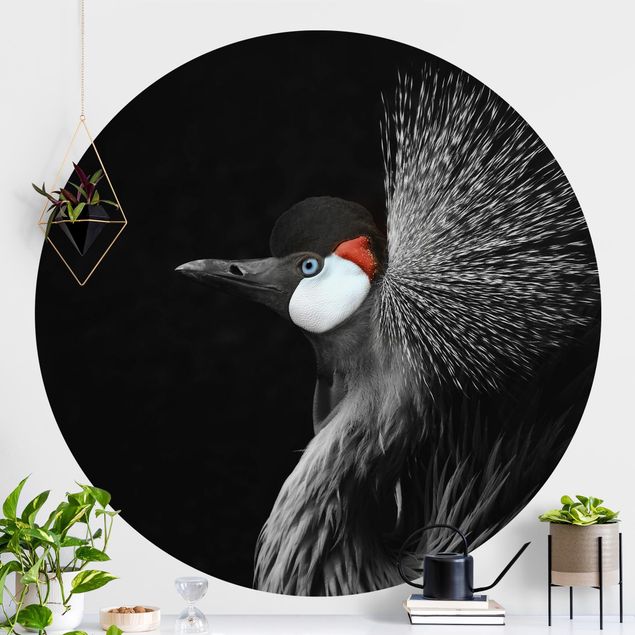 Kök dekoration Black Crowned Crane