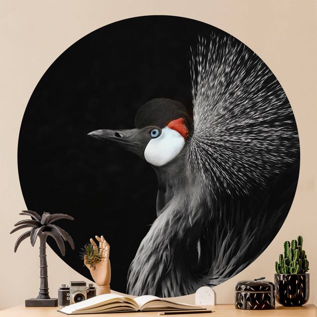 Fototapeter fåglar Black Crowned Crane