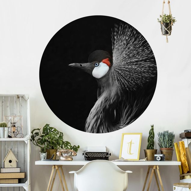 Tapeter modernt Black Crowned Crane