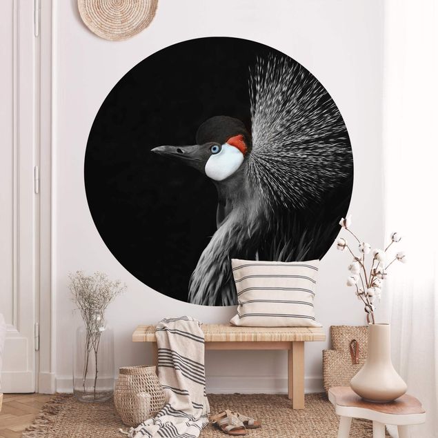 Fototapeter djur Black Crowned Crane