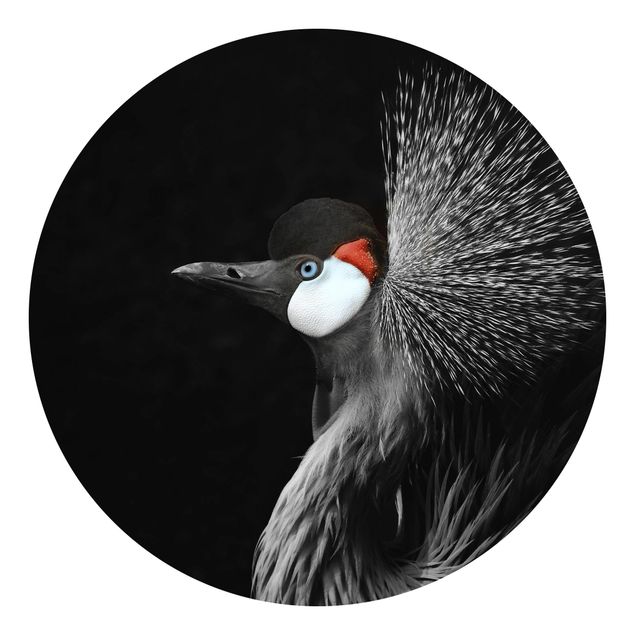 Tavlor Monika Strigel Black Crowned Crane