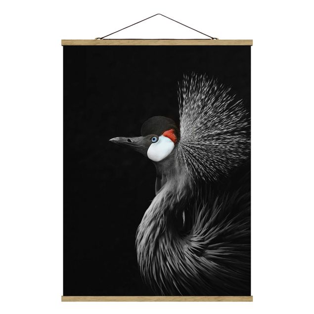 Tavlor djur Black Crowned Crane