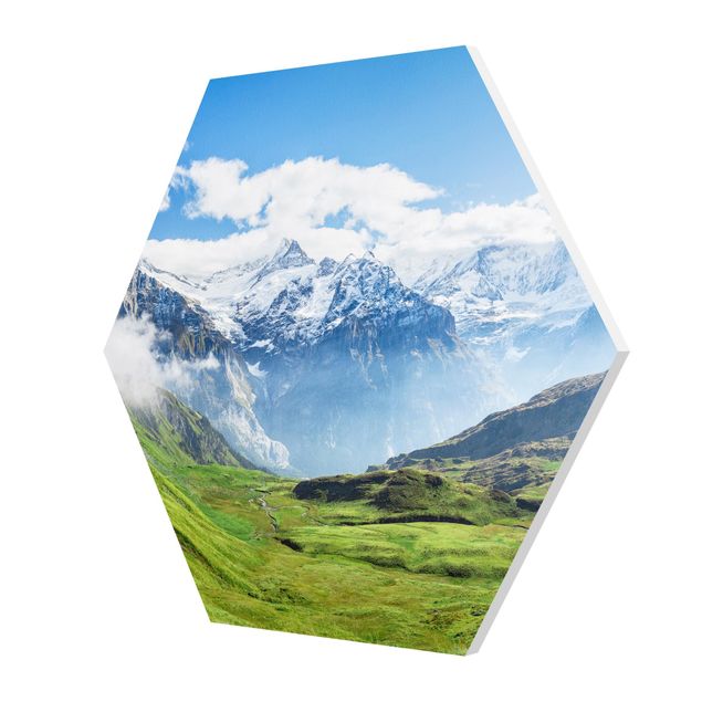 Tavlor natur Swiss Alpine Panorama