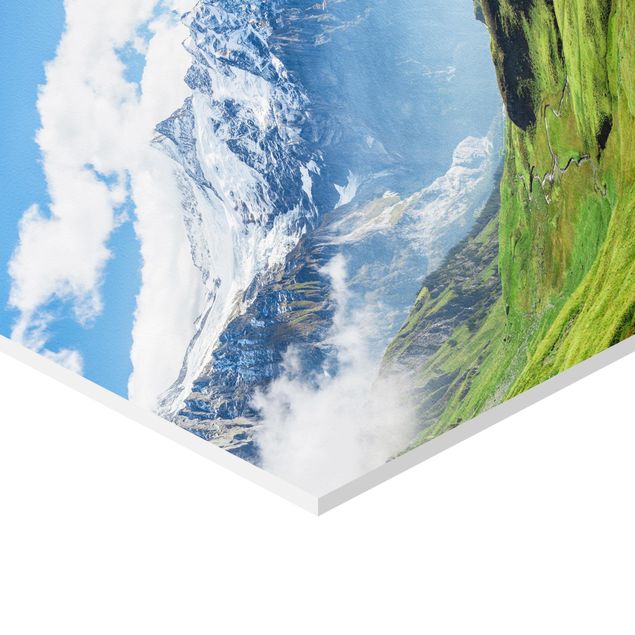Tavlor grön Swiss Alpine Panorama