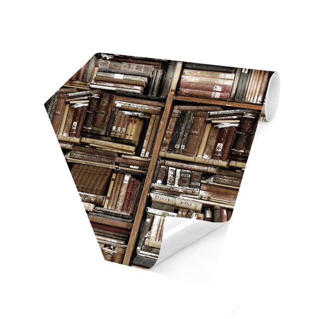 Fototapeter grått Shabby Wall  Of Books