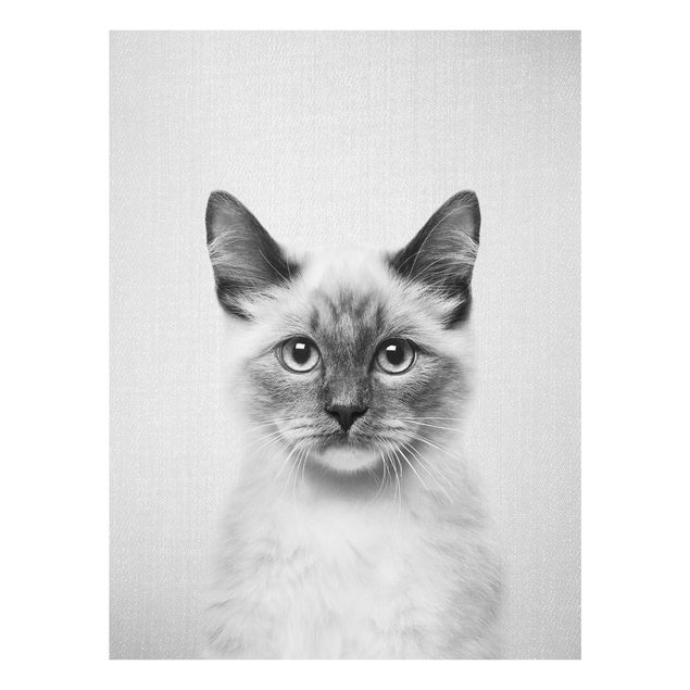 Tavlor modernt Siamese Cat Sibylle Black And White