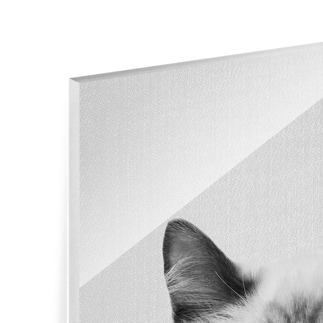 Tavlor Gal Design Siamese Cat Sibylle Black And White