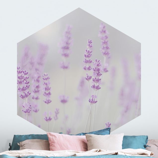 Fototapeter blommor  Summer In A Field Of Lavender