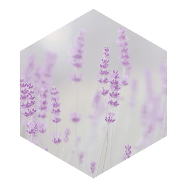 Tavlor Monika Strigel Summer In A Field Of Lavender