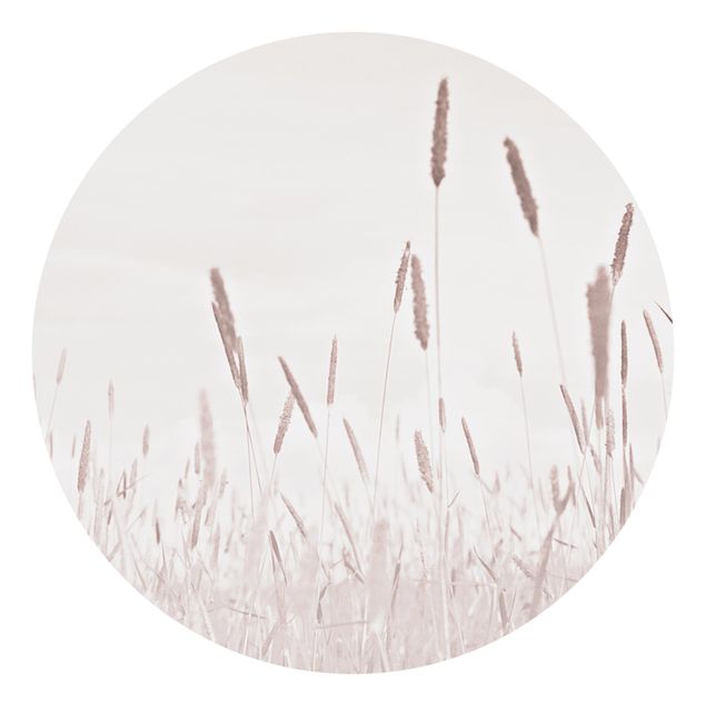 Tapeter modernt Summerly Reed Grass