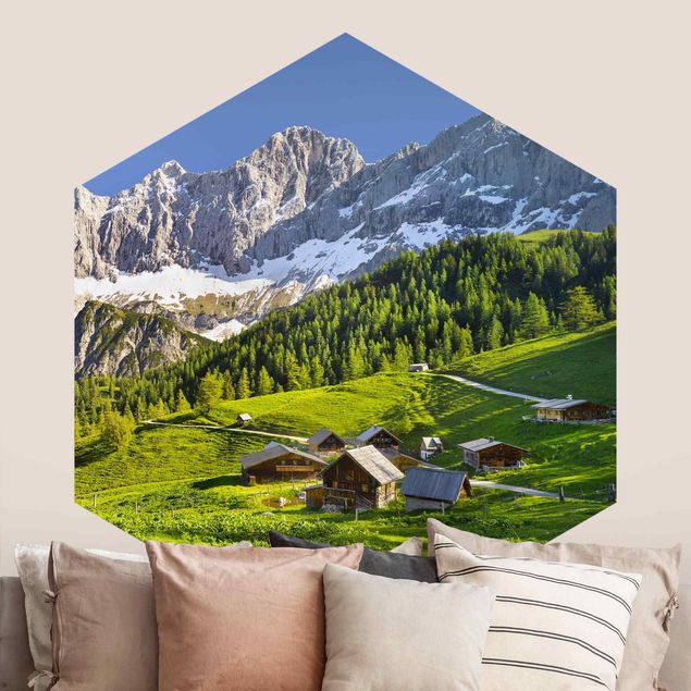 Fototapeter bergen Styria Alpine Meadow
