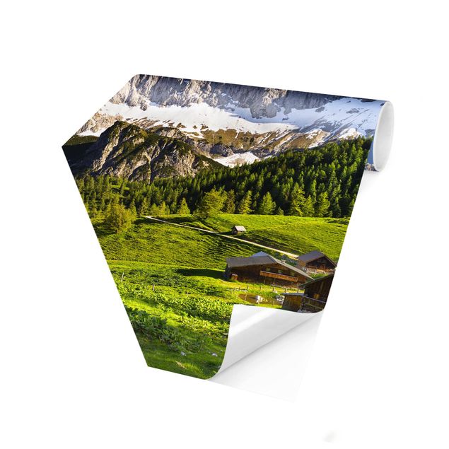 Hexagonala tapeter Styria Alpine Meadow