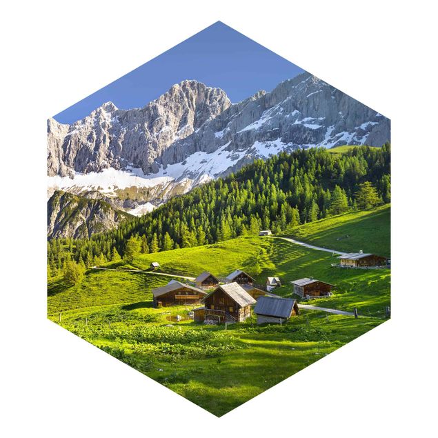Tavlor Rainer Mirau Styria Alpine Meadow