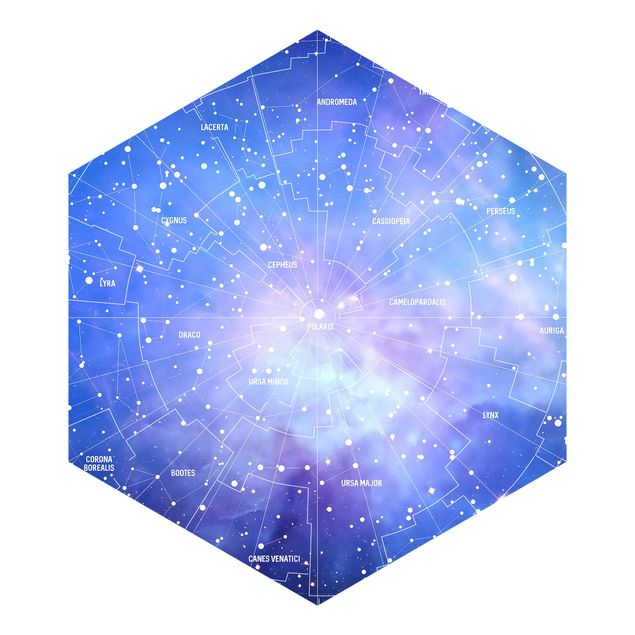 Fototapeter grått Stelar Constellation Star Chart