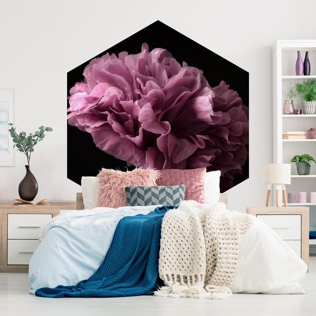 Tapeter modernt Proud Peony In Front Of Black