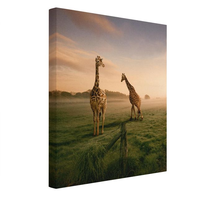 Canvastavlor landskap Surreal Giraffes