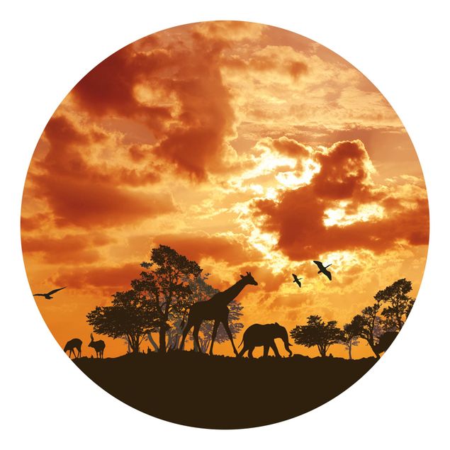 Fototapeter Afrika Tanzania Sunset