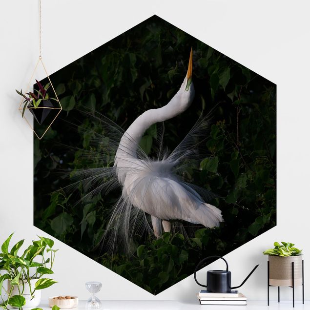 Kök dekoration Dancing Egrets In Front Of Black
