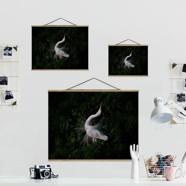 Tygtavlor Dancing Egrets In Front Of Black