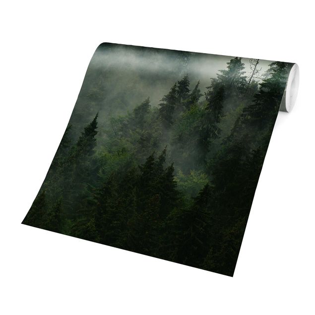 Fototapeter grön Deep Green Fir Forest In The Fog