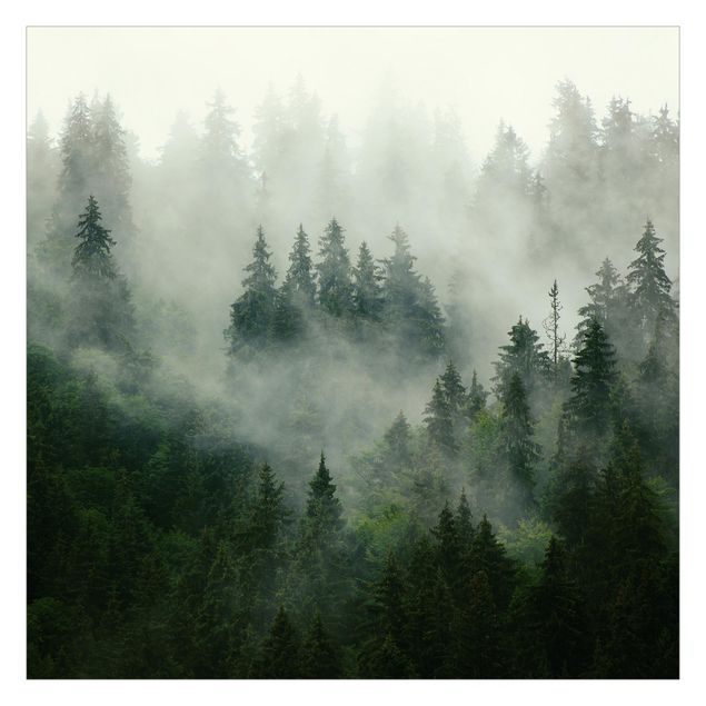 Tapeter Deep Green Fir Forest In The Fog
