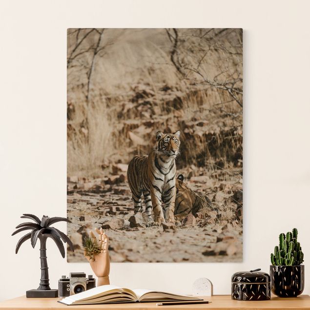 Canvastavlor katter Tiger In The Wild