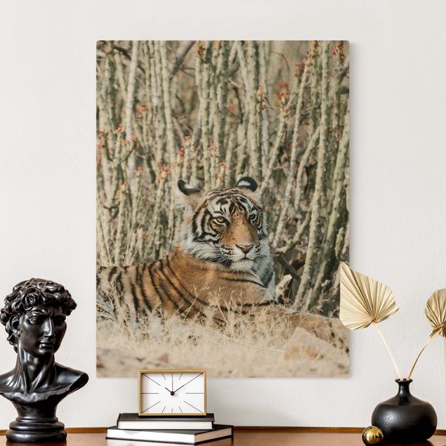 Canvastavlor katter Tiger With Cacti
