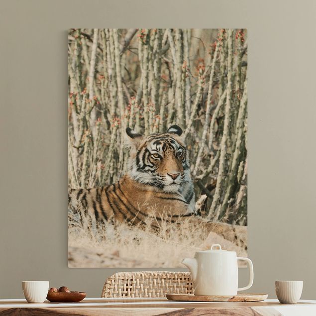 Canvastavlor tigrar Tiger With Cacti