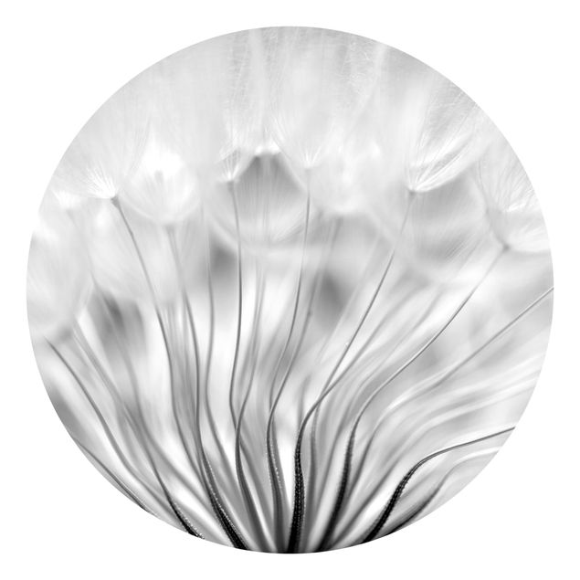 Tapeter lantlig Beautiful Dandelion Black And White