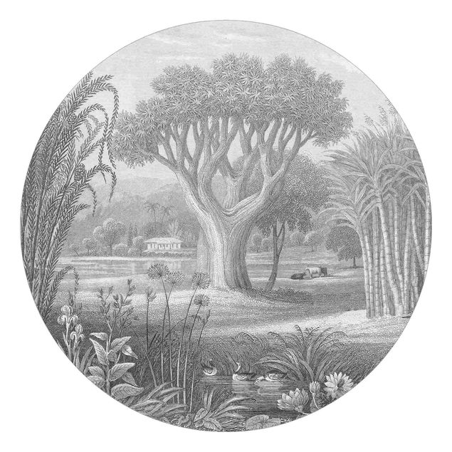 Tapeter Tropical Copperplate Engraving Garden With Pond In Grey