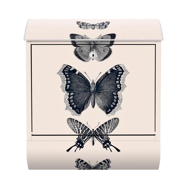 Brevlådor beige Ink Butterflies On Beige Backdrop