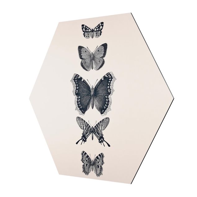 Tavlor Monika Strigel Ink Butterflies On Beige Backdrop