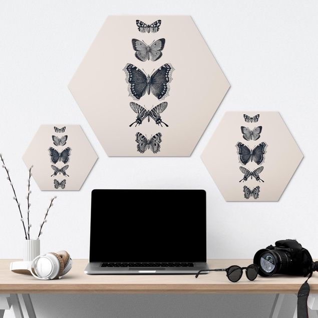 Aluminium Dibond tavlor Ink Butterflies On Beige Backdrop