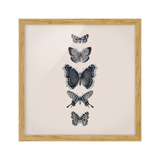 Tavlor modernt Ink Butterflies On Beige Backdrop