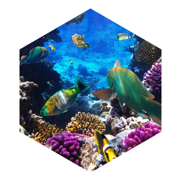 Hexagonala tapeter Underwater Dreams