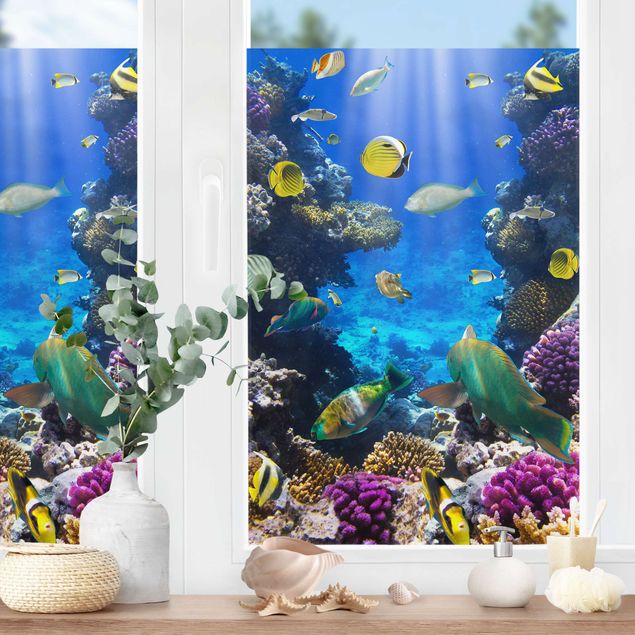 Fönsterdekaler djur Underwater Dreams