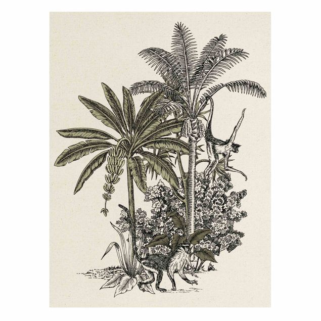 Tavlor blommor Vintage Illustration - Monkeys  And Palm Trees