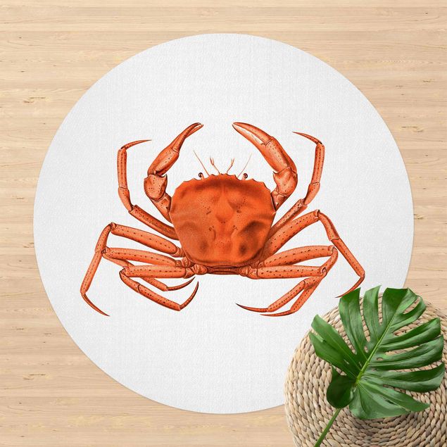 utomhusmatta Vintage Illustration Red Crab