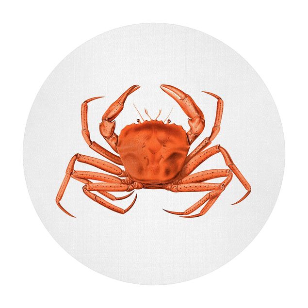 Tavlor Gal Design Vintage Illustration Red Crab
