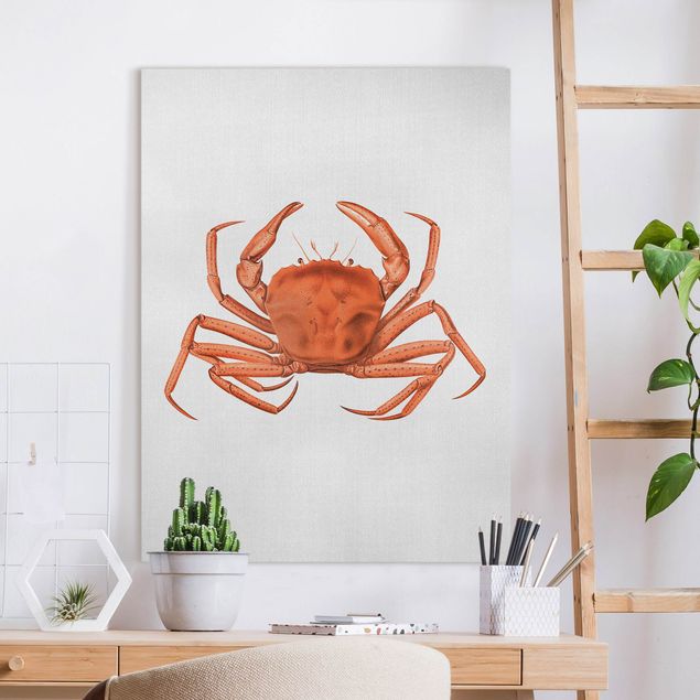 Canvastavlor fisk Vintage Illustration Red Crab