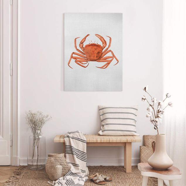 Tavlor fisk Vintage Illustration Red Crab