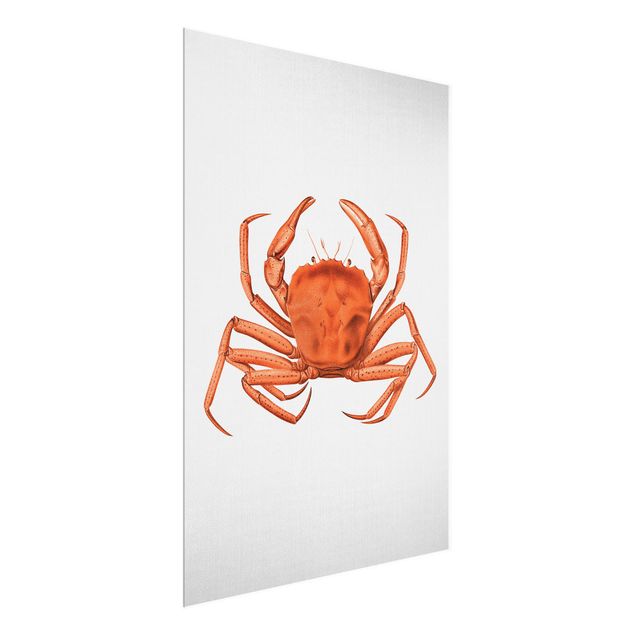 Tavlor hav Vintage Illustration Red Crab
