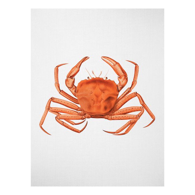 Glastavlor landskap Vintage Illustration Red Crab