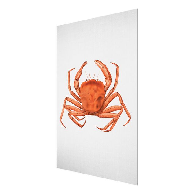 Glastavlor stränder Vintage Illustration Red Crab