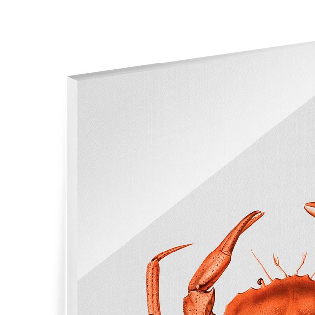 Glastavlor djur Vintage Illustration Red Crab