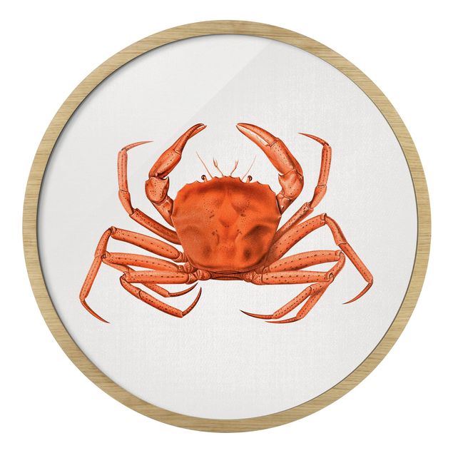 Tavlor med ram landskap Vintage Illustration Red Crab