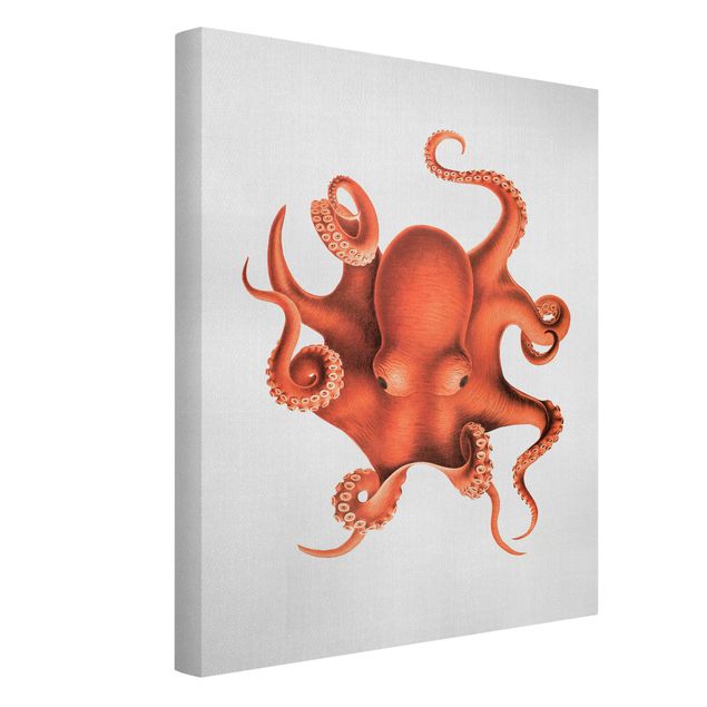 Tavlor stränder Vintage Illustration Red Octopus