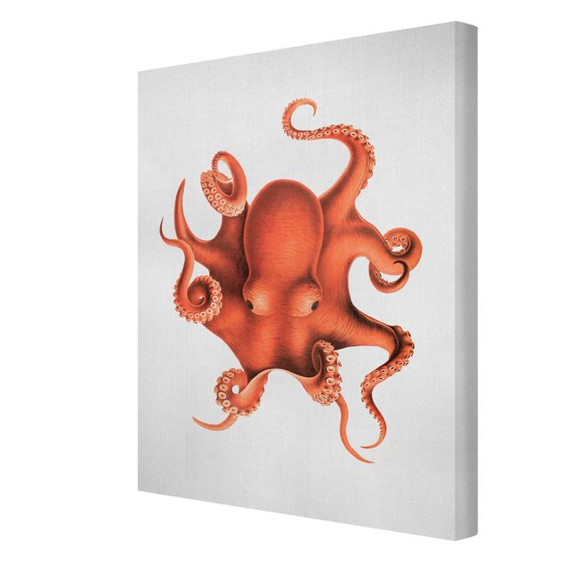 Canvastavlor landskap Vintage Illustration Red Octopus